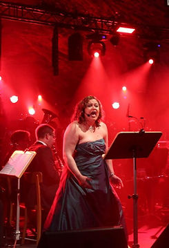 8285405-82008013-night2-OcBG_edited.jpg