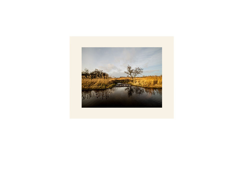 Thumbnail: 1.3 Ferry Road Woodbastwick 