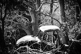 4.1IM Abandoned car in the woods.jpg