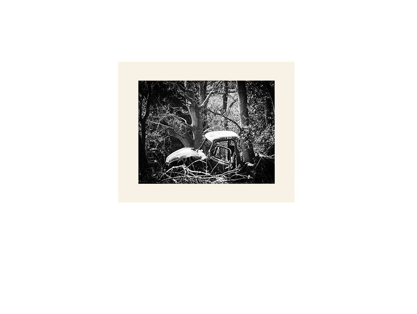 Thumbnail: 4.1 Abandoned car in the woods