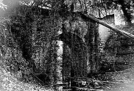 LBs Little Switzerland -3.jpg
