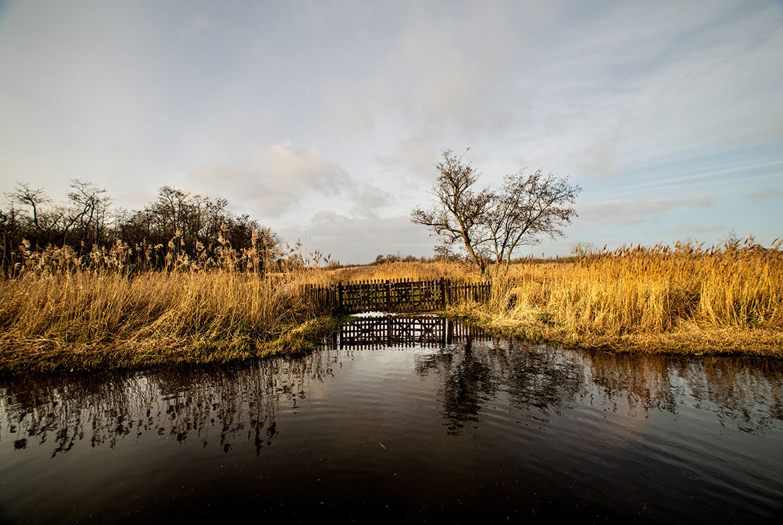 1.3IM Ferry Road flooded at Woodbastick.jpg