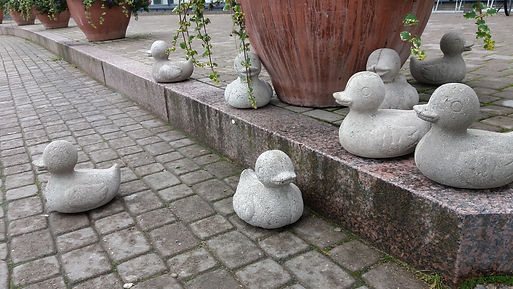 IMG-20160910-WA0025.jpg