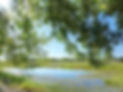 Pond.jpg