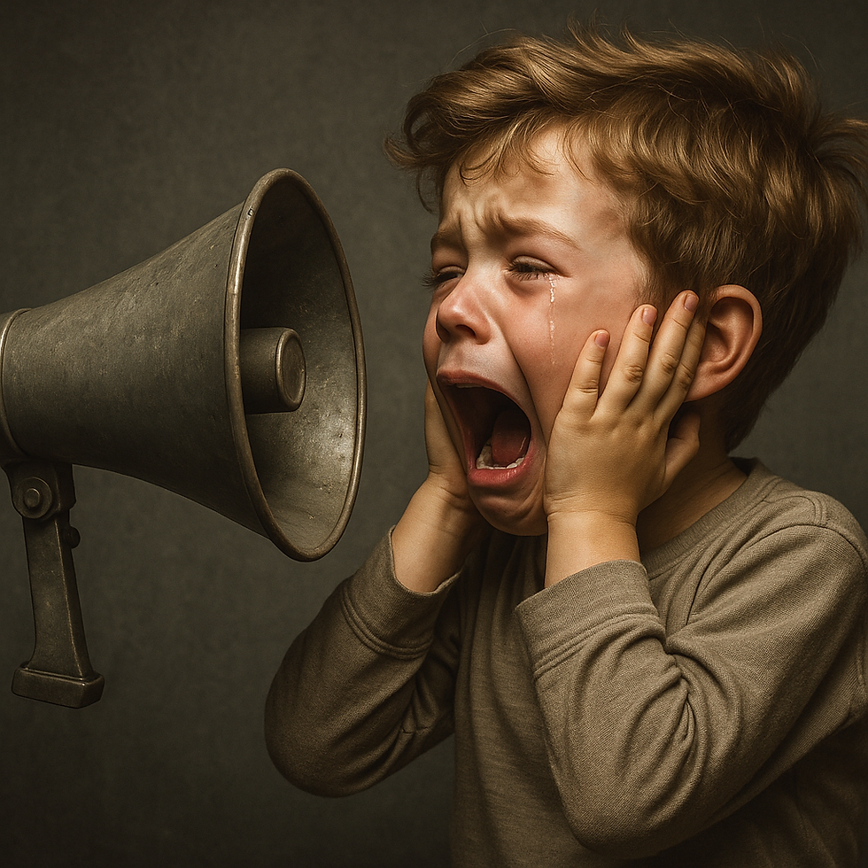 The always screaming petrified inner child. This child is still running your life. This is the “Tyranny of the past”, a phrase used by Professor Bessel van der Kolk, in his brilliant book, considered the ‘Bible’ of trauma, ‘The Body Keeps the Score’, which describes how childhood Trauma keeps survivors captured by prior experience rather than being available to present reality.