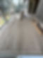 IMG_1552.jpeg