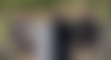 Foundation supports free educational visits to Dudley Zoo and Castle