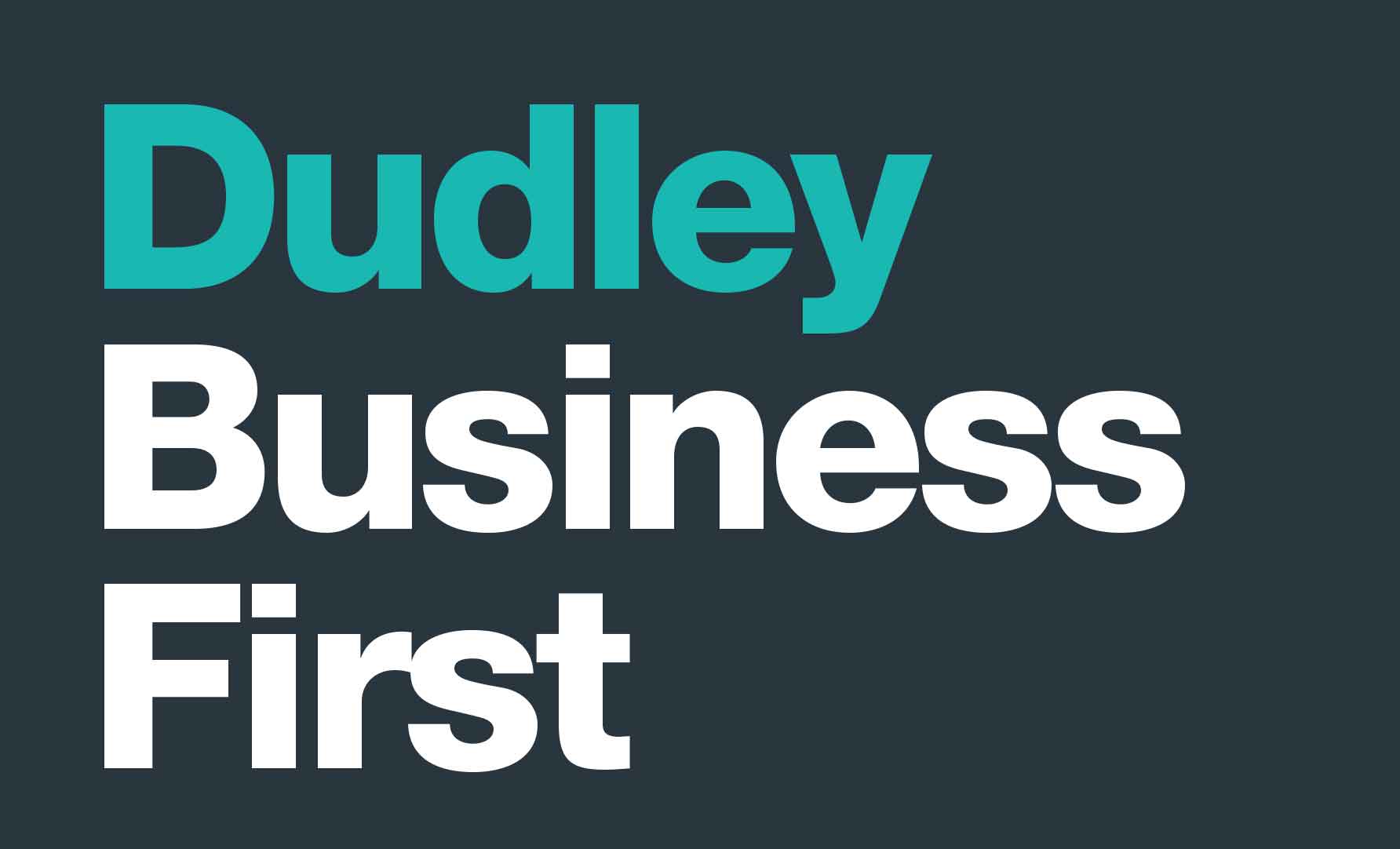 Writer: Dudley Business First