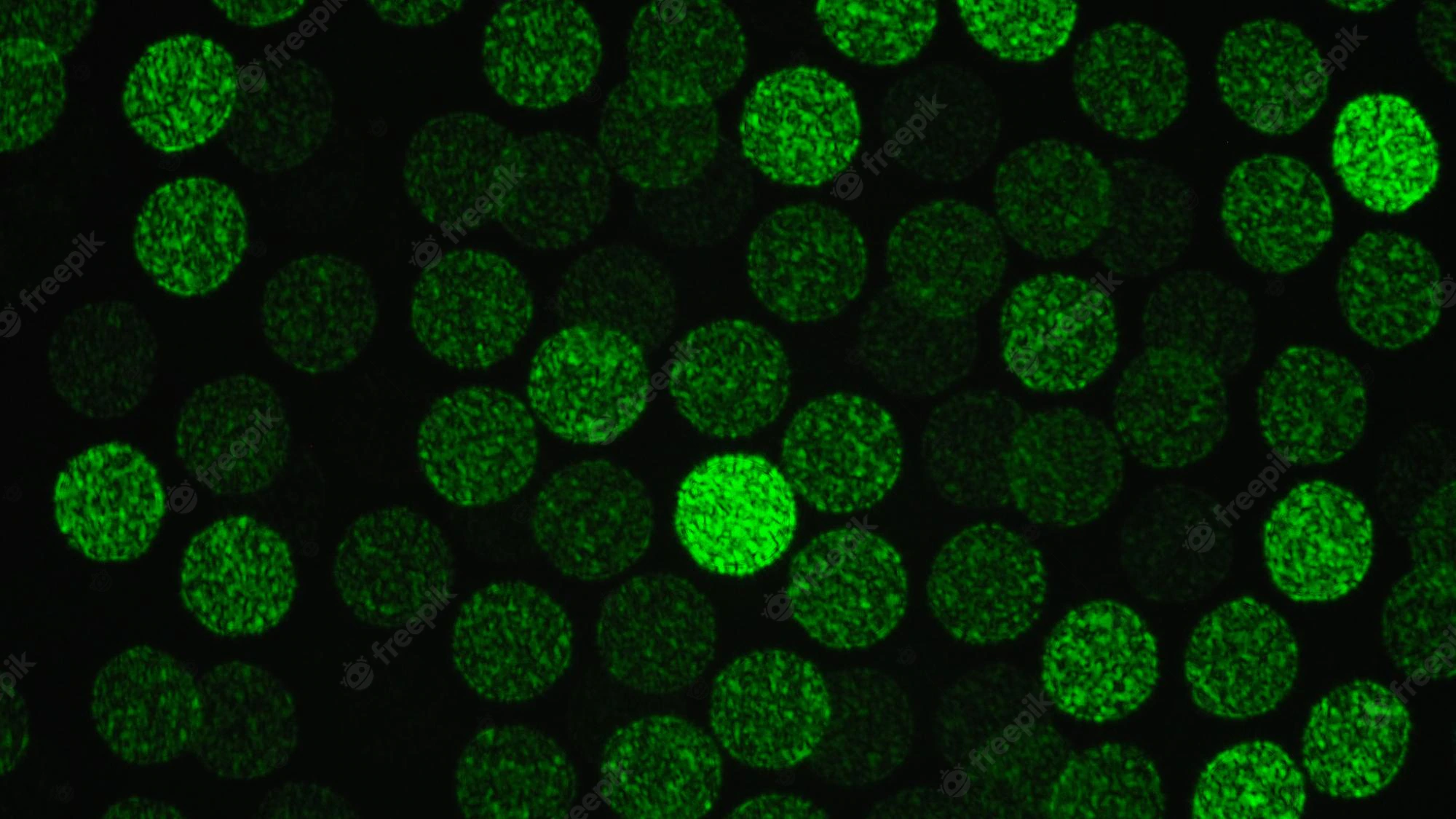blurry-image-abstract-background-green-dot-black-light-background-no-people_335640-3677.we