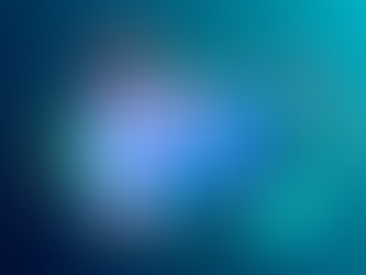 Professional Web Design 