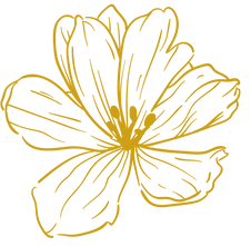 Flower for Therapy Room