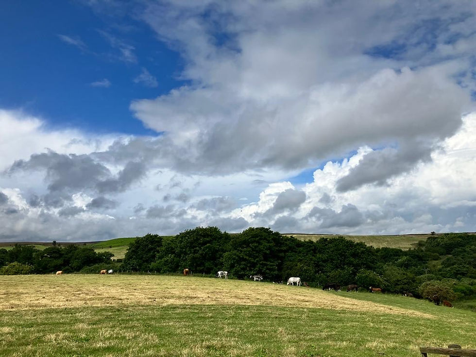 cowpasture glamping pod north yorkshire farm view