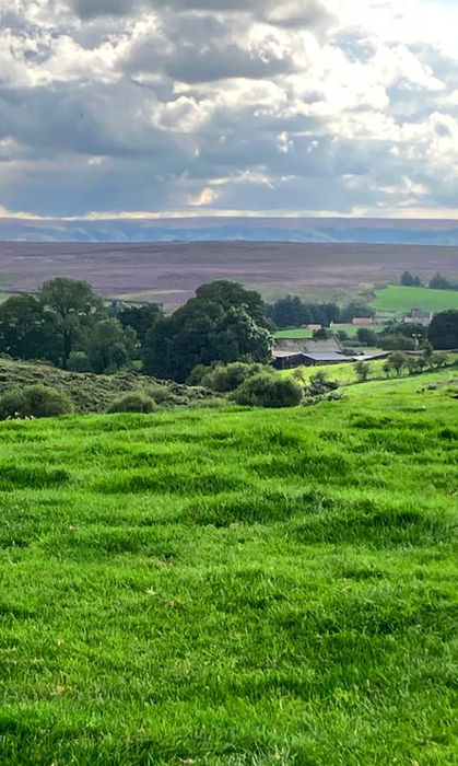 view at Woodhall farm cowpasture glamping pod yorkshire whitby