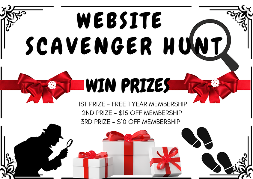 Wix image Website Scavenger Hunt.png