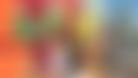 The Walls Project Completes Its First Independent Audit