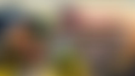 Dynasty Warriors 8: Empires