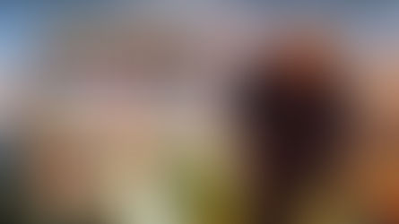 Witcher 3: Wild Hunt