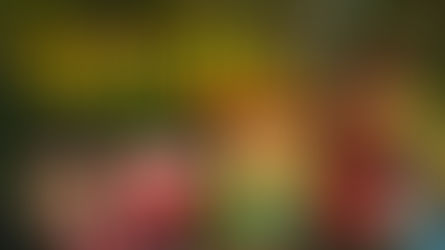 Secret of Mana (1993)