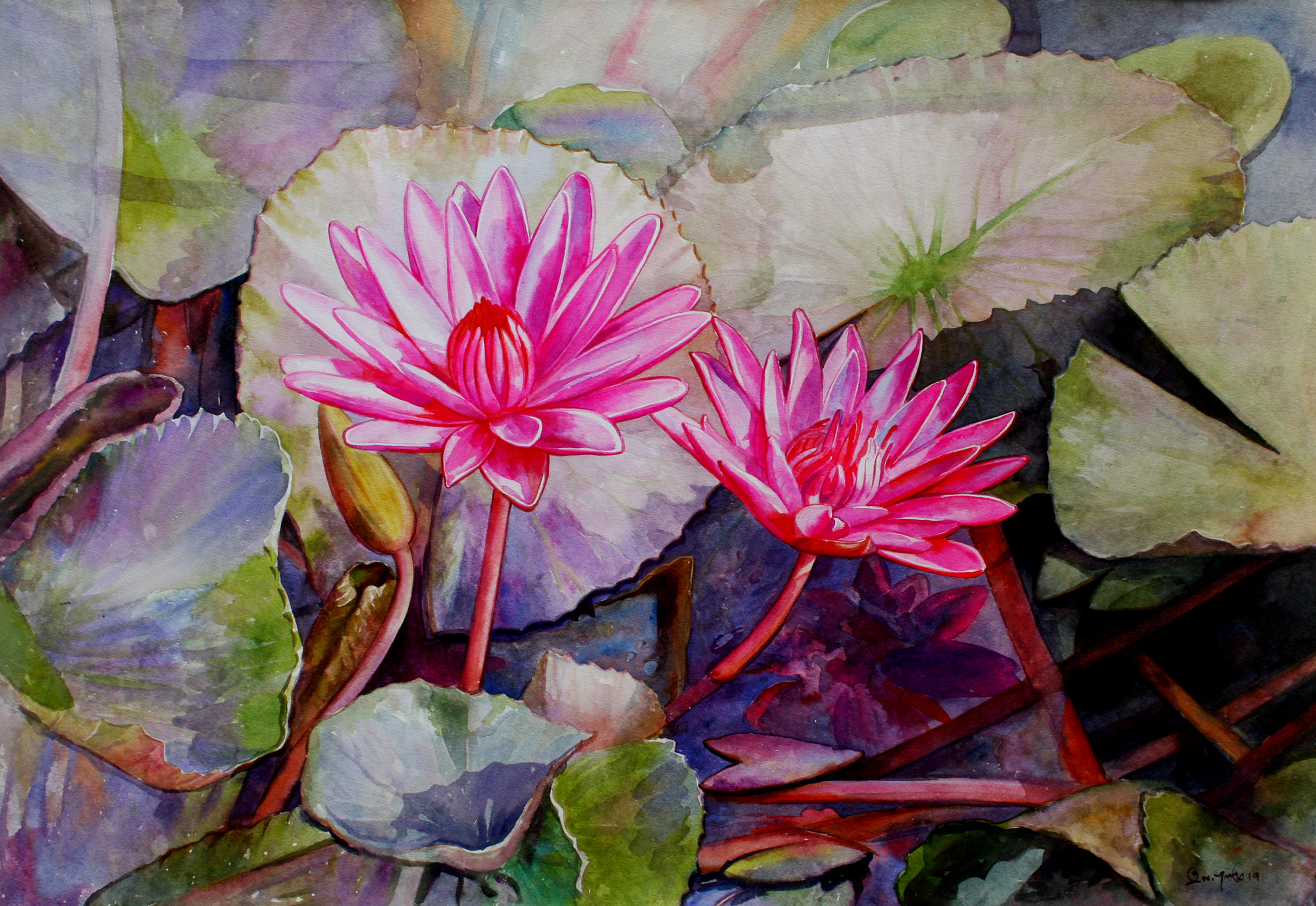 Lily paintings by Artist M.Ramu