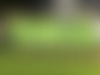 Η Θύελλα Ραφήνας Β' πάτησε… γκάζι! 🟢⚫️⚽