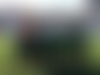 Το πρόγραμμα της Θύελλας Ραφήνας στη Γ΄ Εθνική