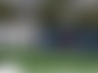 ΘΥΕΛΛΑ ΡΑΦΗΝΑΣ - ΑΙΑΣ ΣΑΛΑΜΙΝΑΣ 2-0