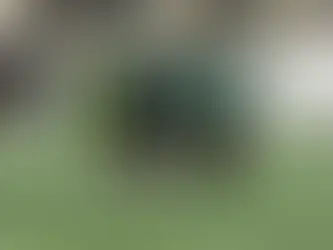 Και τώρα ο Αστέρας Βάρης για τη Θύελλα 🟢⚫️⚽