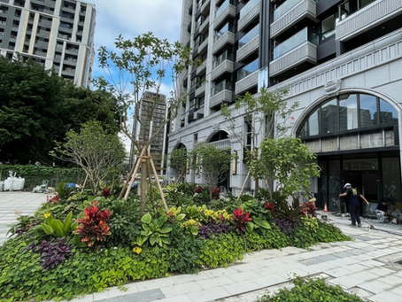 景觀設計｜與自然共生的有機詩學