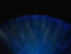 Fibre Optics