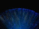 Fiber Optics, FTTH,