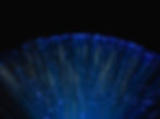 Fibre Optics Infrastructure
