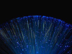 Fiber optic lights