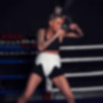 Unorthodoxx Pelvic Guard (£89+PP)