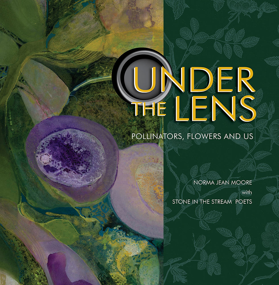 UNDER THE LENS