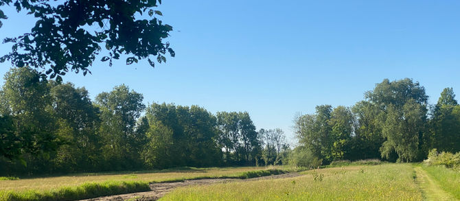 2025 flora Nieuwendijk 12 (mei)