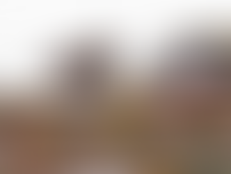 2023-2024 Watervogeltellingen