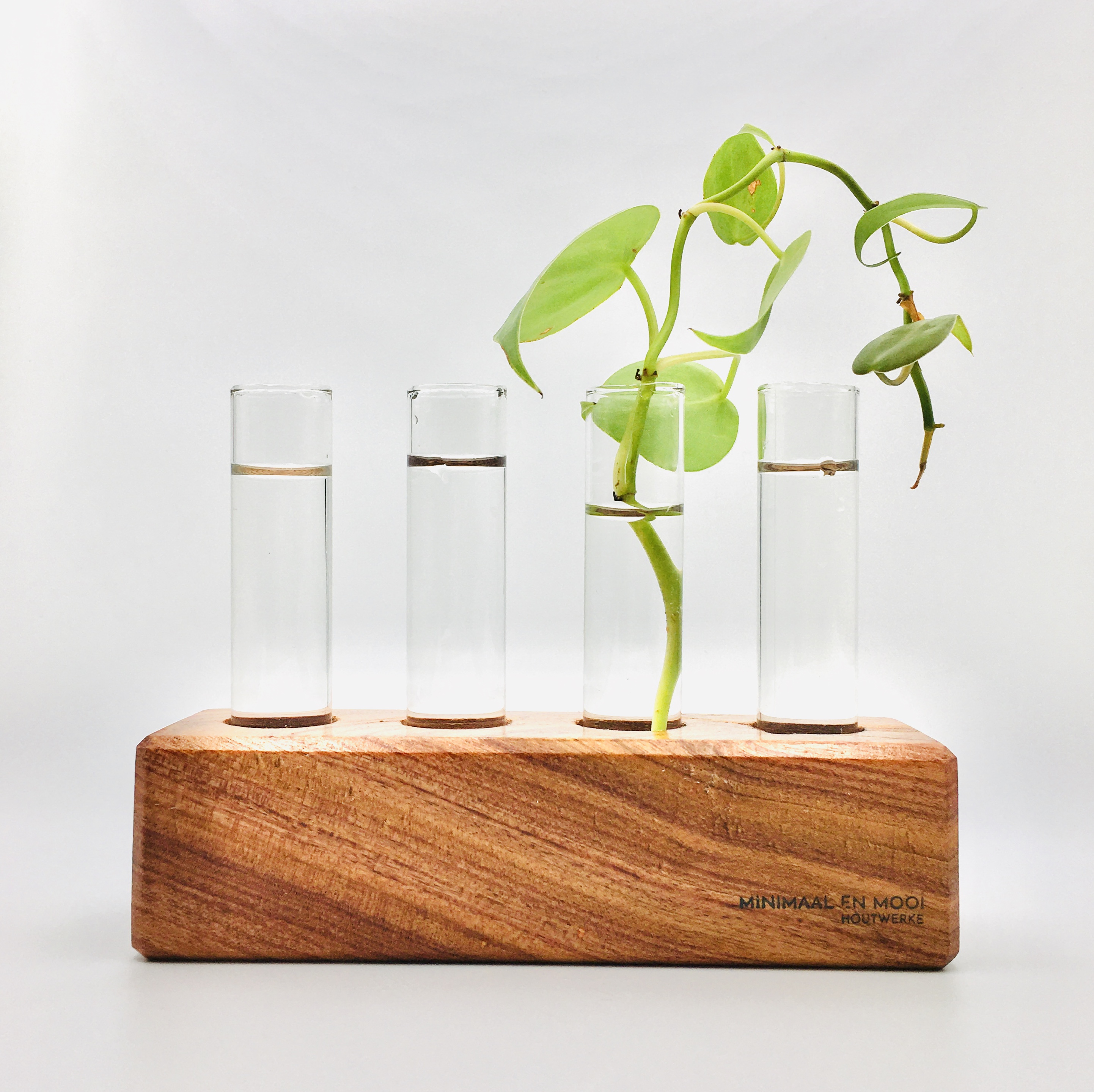 Indoor Planters Planters & Pots Outdoor & Gardening Test Tube Plant