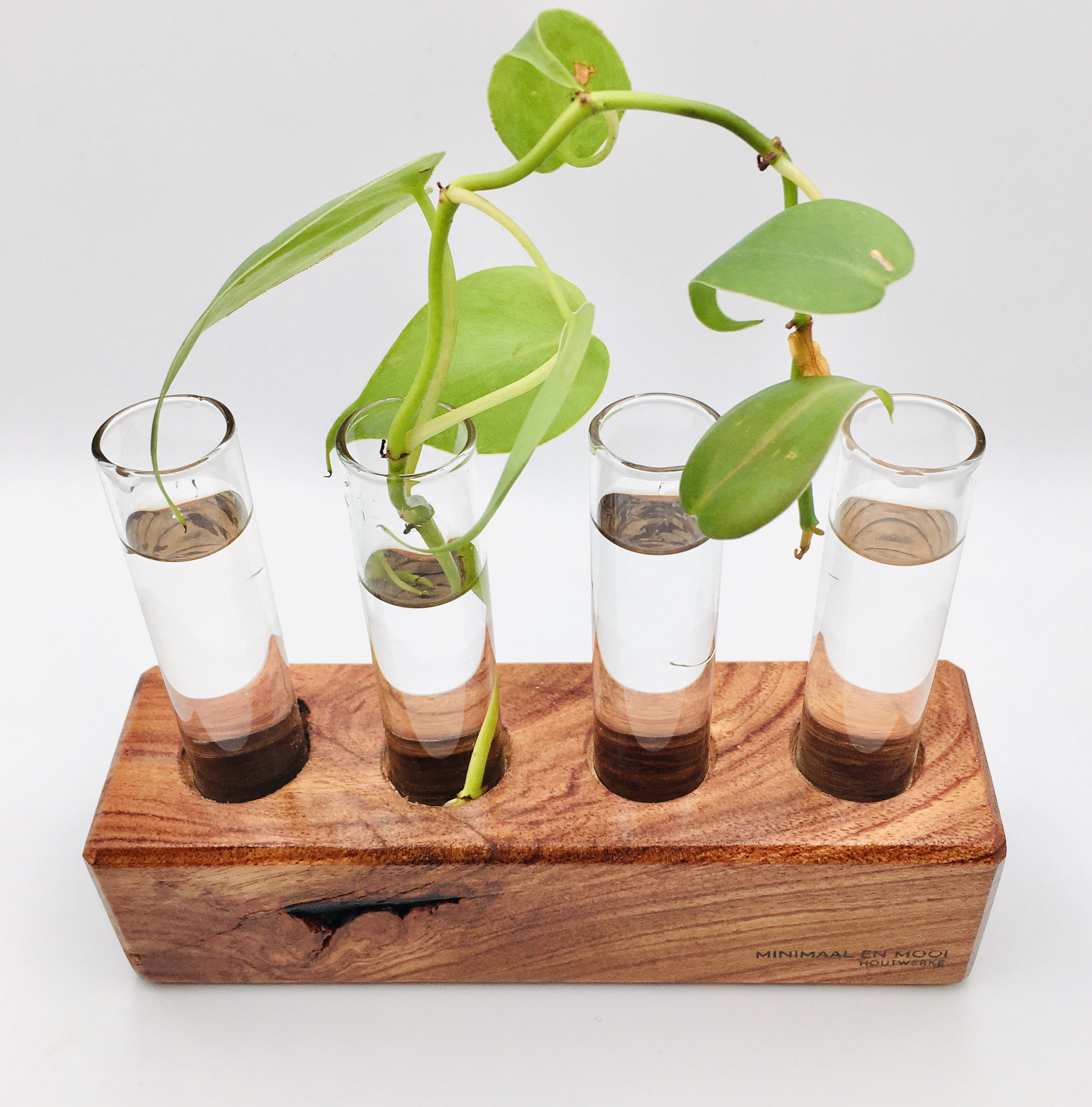 Indoor Planters Planters & Pots Outdoor & Gardening Test Tube Plant