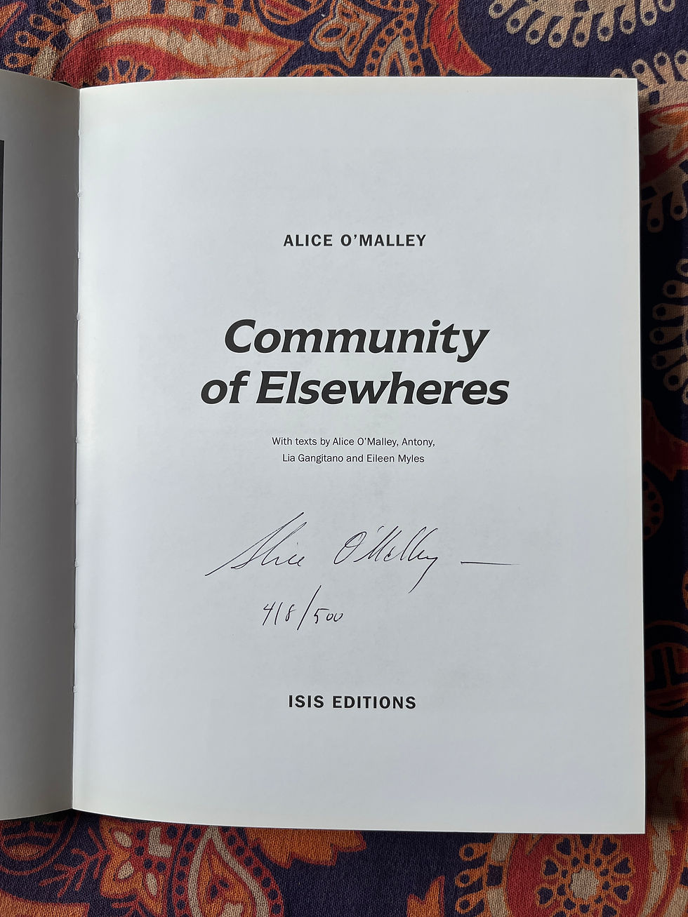 Thumbnail: Community of Elsewheres by Alice O'Malley