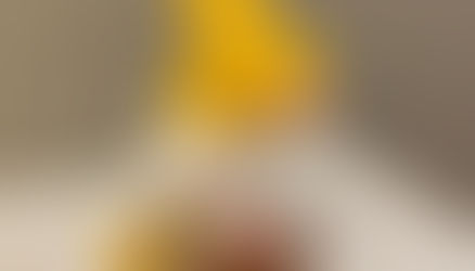 玄鳳鸚鵡