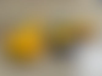 鱟