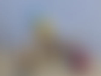 風神翼龍和Among Us比身高