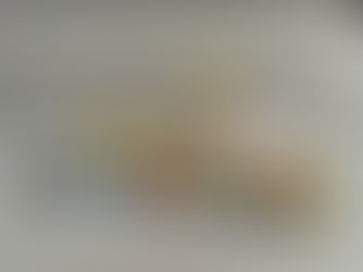 水陸動物們的家