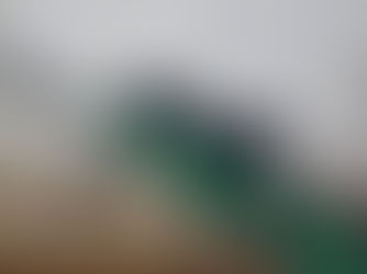 精密國際AW狙擊步槍