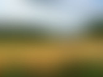 Schwab Network: Gaining ‘Real Exposure’ to Commodities & Other Investor Tools