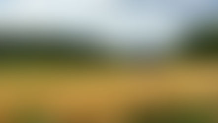 Schwab Network: Gaining ‘Real Exposure’ to Commodities & Other Investor Tools