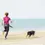 Miniature : Ceinture de Course Axaeco