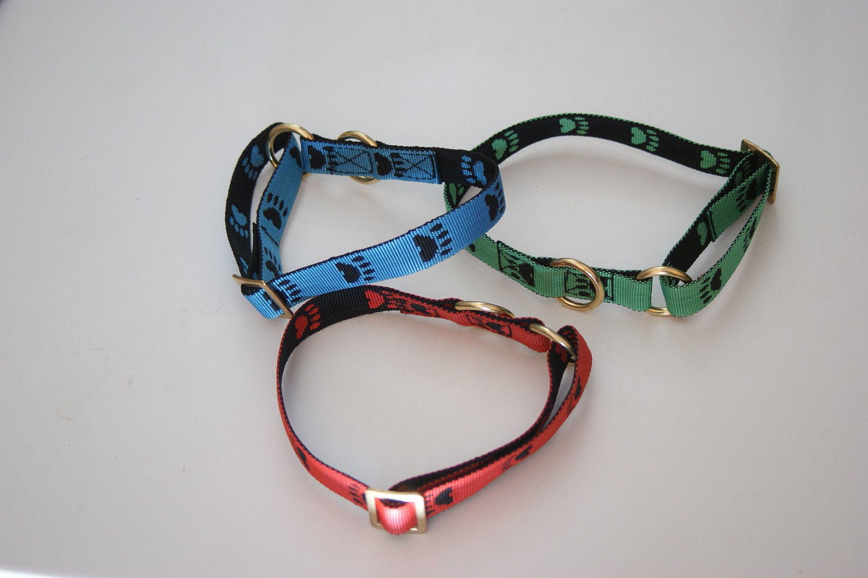 Collier chiot ou petit chien