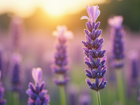 Enhance Your Sleep Naturally with Aroma Therapeutics