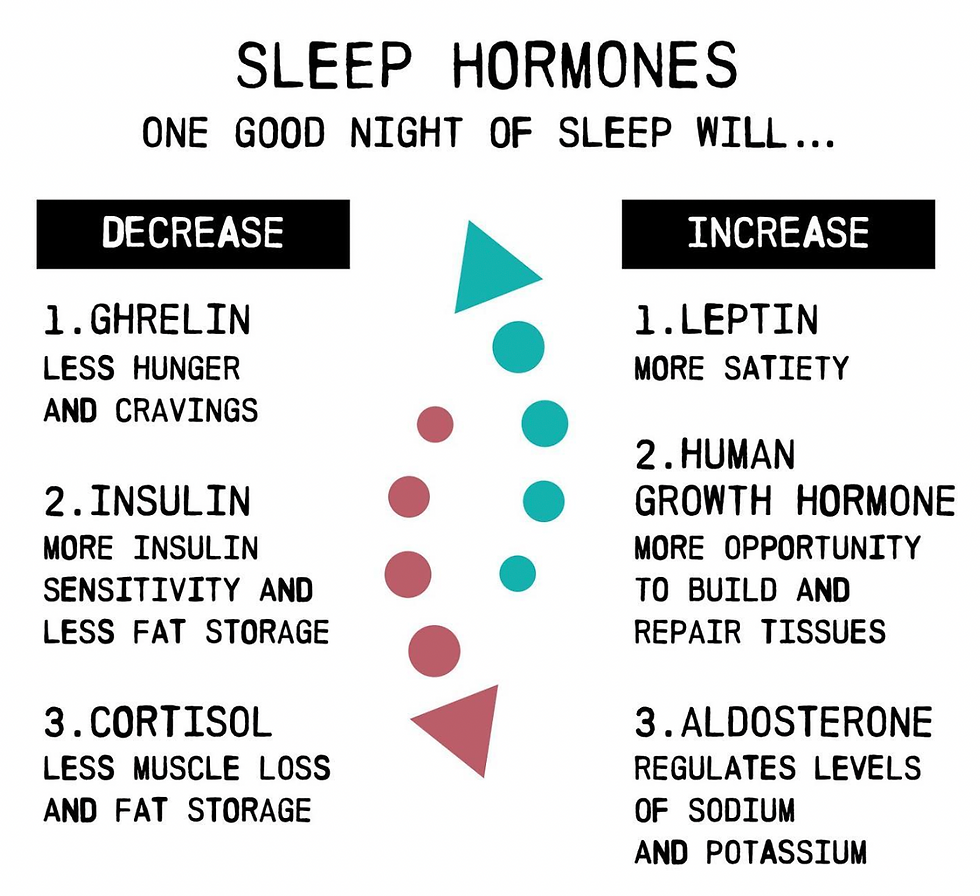 science of sleep and sleep hormones